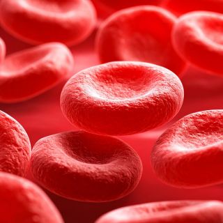 Îmbunătățește circulația sângelui